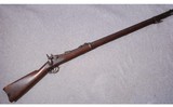 Springfield ~ M1873 ~ .45-70 - 1 of 14
