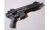 SIG-Sauer ~ MCX ~ .300 AAC Blackout - 1 of 2