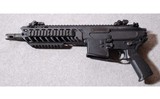 SIG-Sauer ~ MCX ~ .300 AAC Blackout - 2 of 2