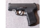 SIG-Sauer ~ P365 ~ 9MM - 2 of 3