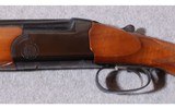 Zoli ~ Kleinguenther ~ 12 Gauge - 8 of 11