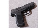 SIG-Sauer ~ P365XL ~ 9MM - 1 of 2
