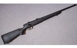 Savage ~ Model 25 ~ .17 Hornet