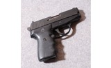 SIG-Sauer ~ P239 ~ .40 S&W - 1 of 2