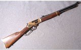 Henry Repeating Arms ~ H24 ~ .45-70