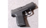 SIG-Sauer ~ P365 ~ 9MM - 1 of 2