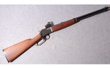 Browning ~ BL22 ~ .22 Long Rifle