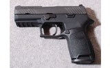 SIG-Sauer ~ P320 Carry ~ 9MM - 2 of 2