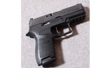 SIG-Sauer ~ P320 Carry ~ 9MM