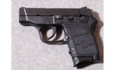 Smith & Wesson ~ M&P Bodyguard 380 ~ .380 ACP - 2 of 2