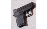 Smith & Wesson ~ M&P Bodyguard 380 ~ .380 ACP - 1 of 2