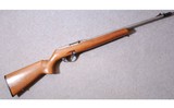Remington ~ 597 ~ .22 Long Rifle - 1 of 11