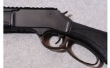 Henry ~ Big Boy X ~ .357 Magnum - 7 of 10
