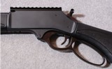 Henry ~ Big Boy X ~ .30-30 Winchester - 7 of 10
