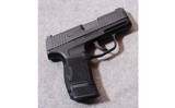 SIG-Sauer ~ P365 ~ 9MM