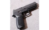 SIG-Sauer ~ P320 ~ 9MM - 1 of 2