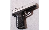 Ruger ~ P95DC ~ 9MM