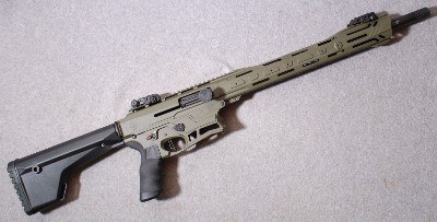 Typhoon Defense ~ F12.1 ~ 12 Gauge