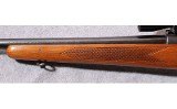 Winchester ~ 770 ~ .243 Winchester - 7 of 9