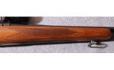 Winchester ~ 770 ~ .243 Winchester - 2 of 9