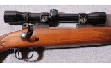 Winchester ~ 770 ~ .243 Winchester - 3 of 9