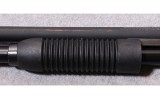 Winchester ~ SXP ~ 20 Gauge - 8 of 10
