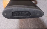Henry ~ H010X ~ .45-70 Government - 10 of 10