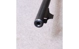 Savage ~ A22 ~ .22 Long Rifle - 9 of 10