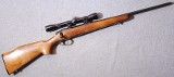 Remington ~ 788 ~ .243 Winchester