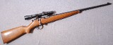 Savage ~ Sporter ~ .22 Long Rifle