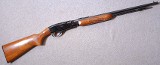 Remington ~ 572 ~ .22 Long Rifle