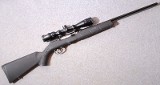 Savage ~ A 17 ~ .17 HMR