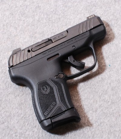 Ruger ~ LCP Max ~ .380 ACP