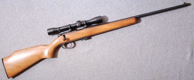 Remington
581
.22 Long Rifle
