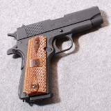 Springfield Armory ~ Champion ~ .45 ACP - Image 1 of 2