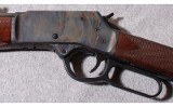 Henry ~ Big Boy ~ .45 Colt - 7 of 10