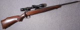 Savage ~ 10 ~ .243 Winchester - 1 of 10