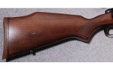 Savage ~ 10 ~ .243 Winchester - 2 of 10