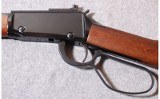 Henry ~ Frontier Carbine ~ .22 WMR - 7 of 10