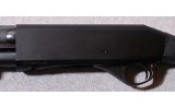 Stoeger ~ P3500 ~ 12 Gauge - 7 of 10