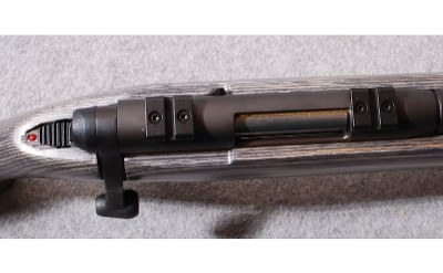 Savage ~ B-Mag ~ .17 WSM - Image 4 of 10