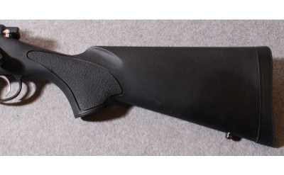 Remington ~ 700 SPS ~ .223 Remington - Image 2 of 10