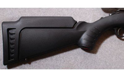 Ruger ~ American Rimfire ~ .22 Magnum - Image 2 of 10