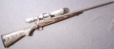 Ruger ~ 77/17 ~ .17 HMR - Image 1 of 10
