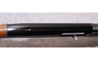 Benelli ~ Montefeltro ~ 20 Gauge - Image 4 of 10