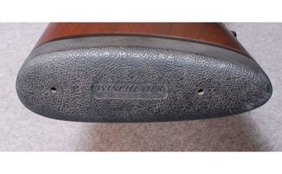 Winchester ~ Model 70 Safari Express ~ .375 H&H - Image 10 of 10