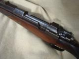 Pre-war Rigby .416 - 6 of 6