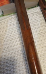 Ruger Gold label 12ga - 8 of 9