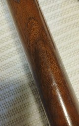 Ruger Gold label 12ga - 7 of 9