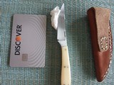 D'orio Custom - 2 of 2